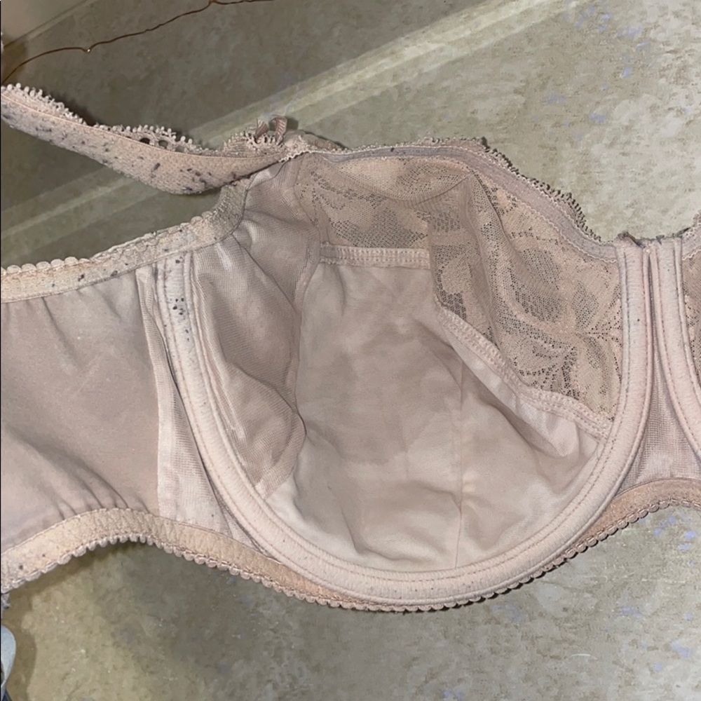 bra - Picture 3 of 3